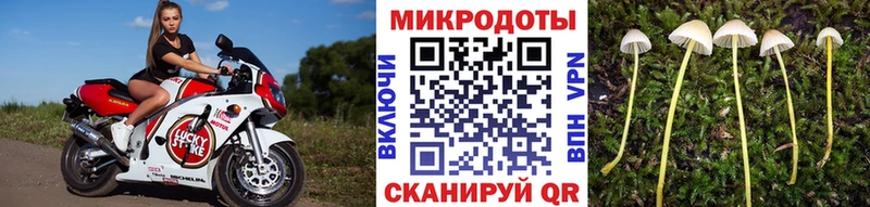 KRAKEN как зайти  магазин  наркотиков  Краснознаменск  Псилоцибиновые грибы мицелий 